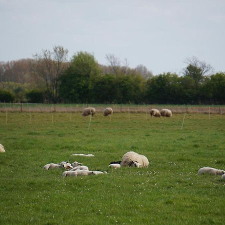De Wijde Verten Oostkapelle Esterno foto