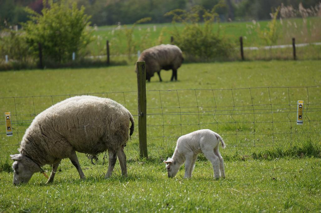 De Wijde Verten Oostkapelle Esterno foto